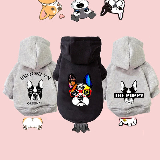 Pet Hoodies