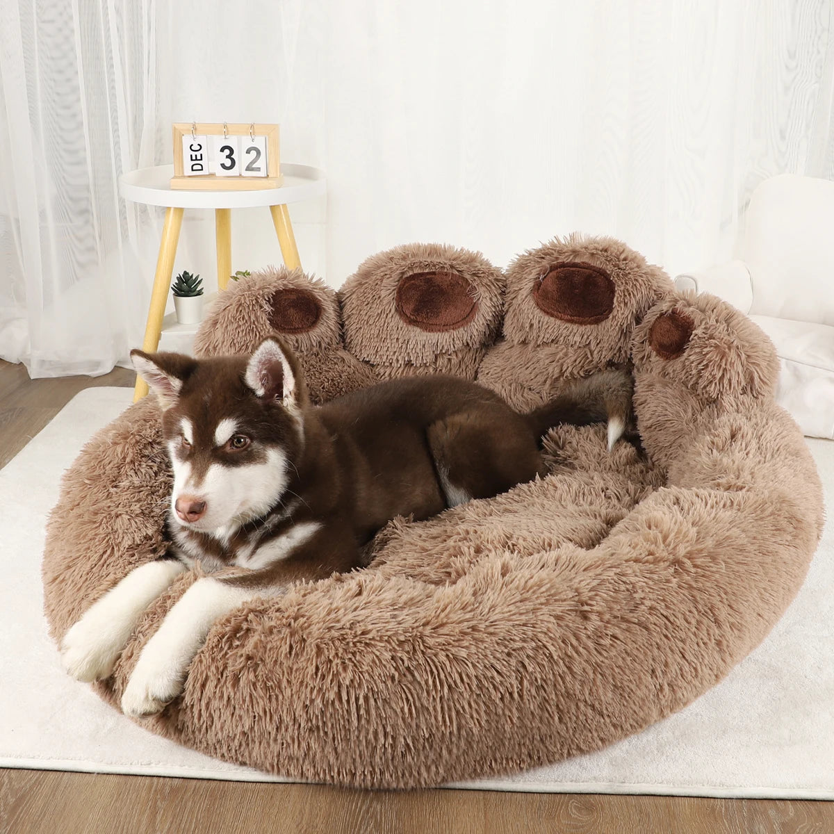 Pet Cushion Bed