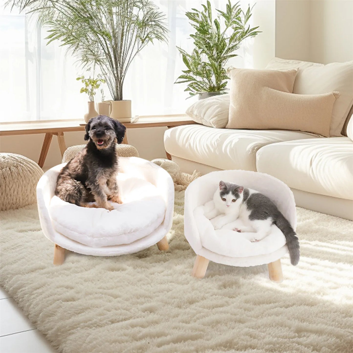 Pet Sofa Bed